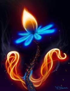Fire Flower - By Felipe Ramos