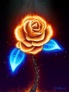 Fire Rose - By Felipe Ramos