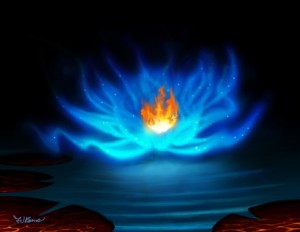 Fire Water Lily - By Felipe Ramos