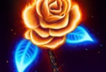 Fire Rose